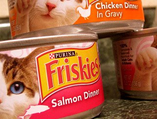 Are Cat Food Cans Recyclable