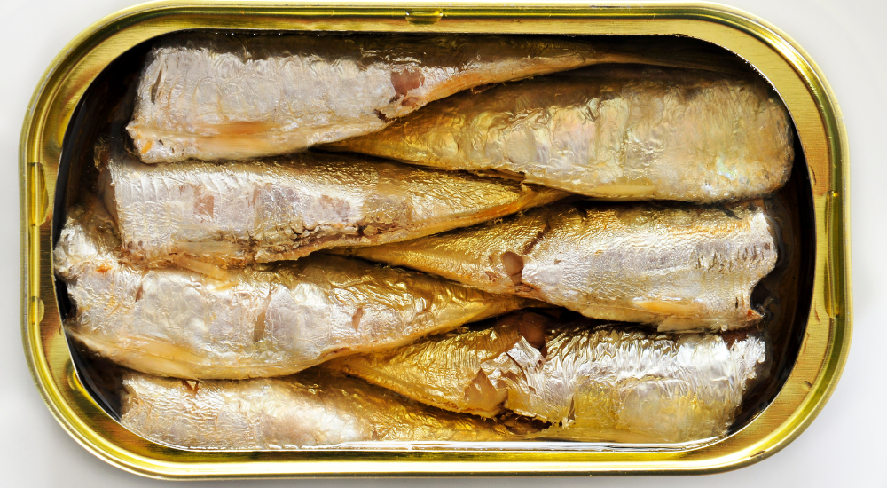 Can Cats Eat Sardines in Olive Oil