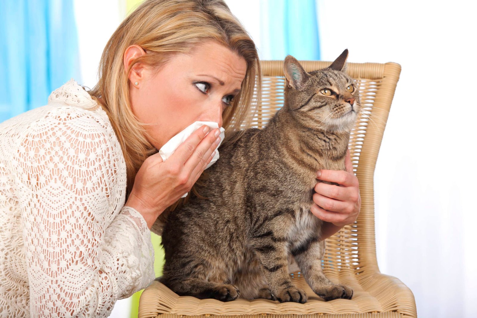 Cat Allergic Test Austin Tx