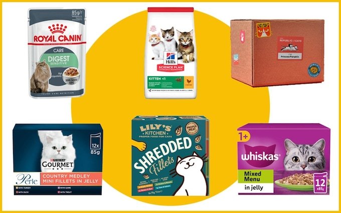 How Long is Dry Cat Food Good for