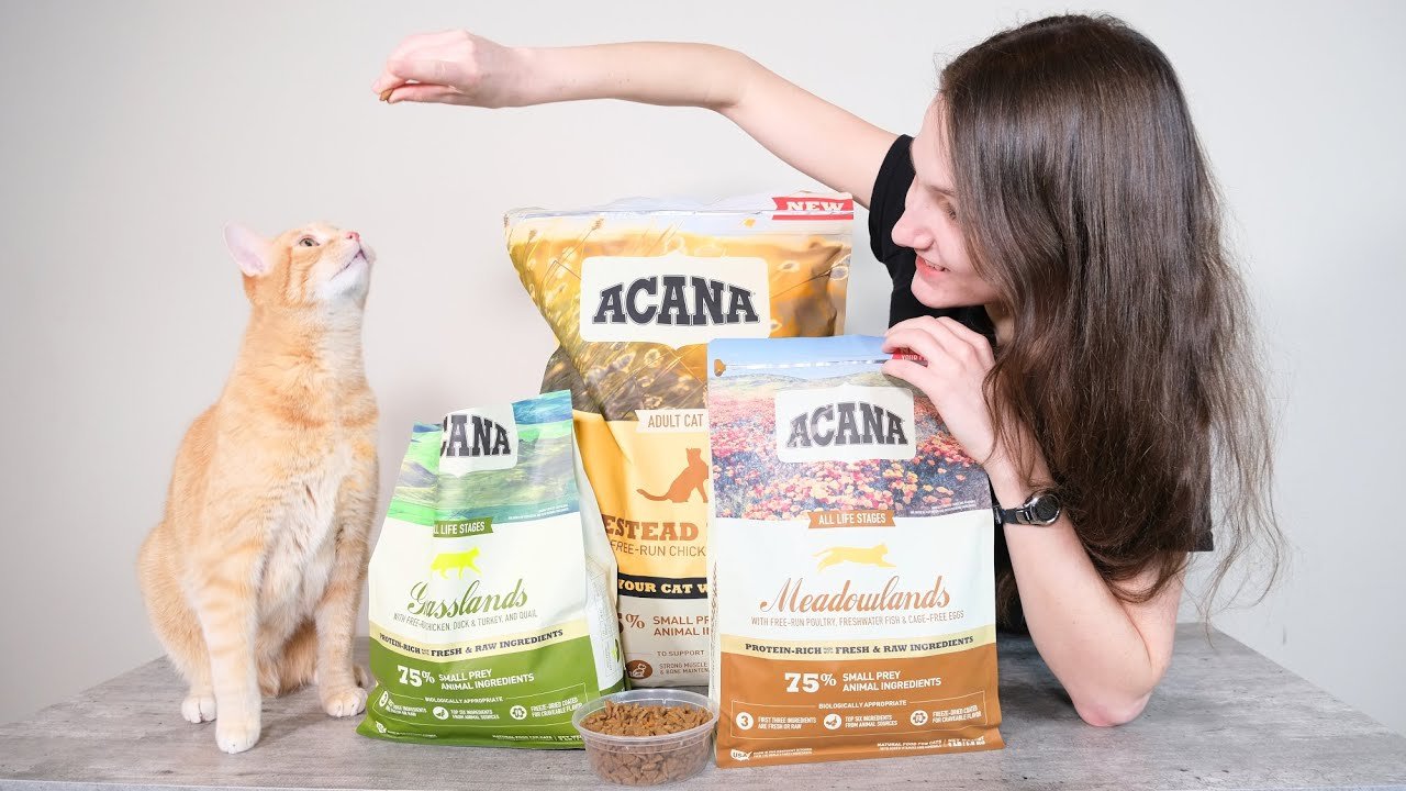 Is Acana Cat Food Good
