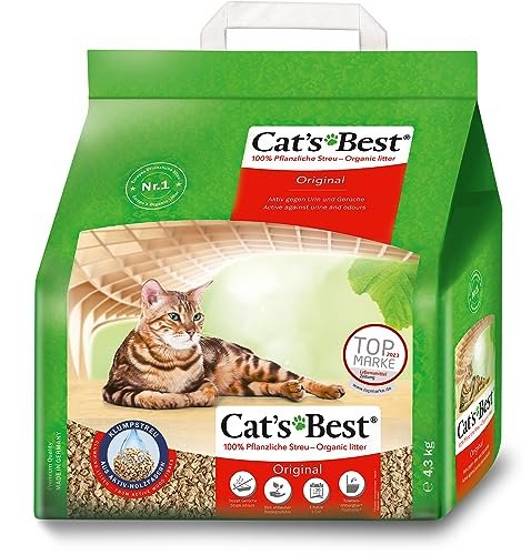 Best Canned Cat Food for Cats