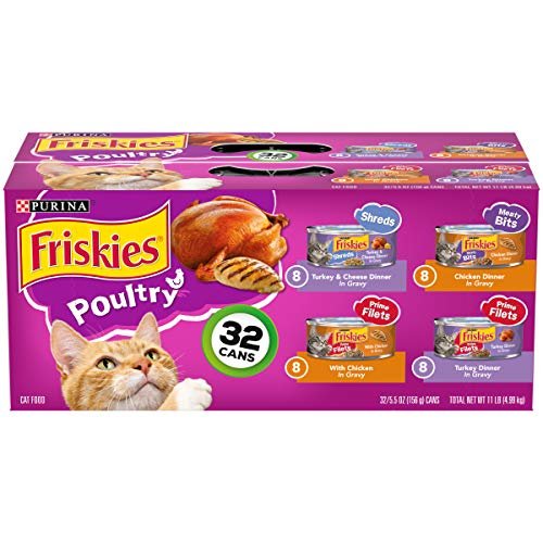 Best Canned Food for Cats