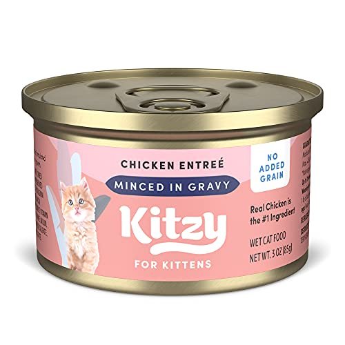 Best Cat Food Brands for Kittens