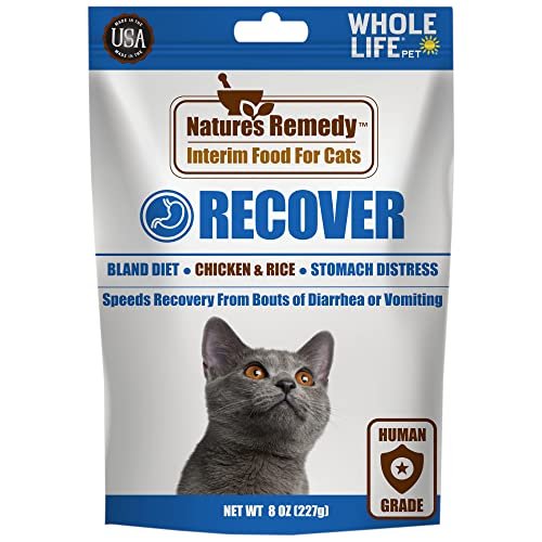 Best Cat Food for Vomiting
