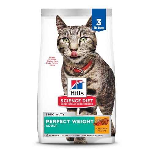 Best Cat Food for Weight Loss