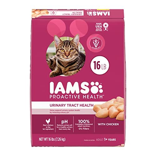 Best Cat Foods for Urinary Tract Health