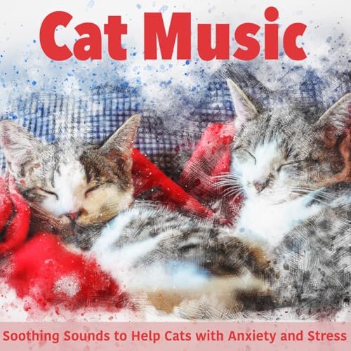 Best Dry Cat Food for Kittens