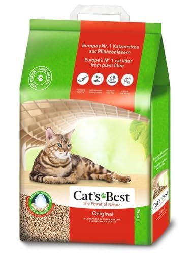Best Foods for Cats