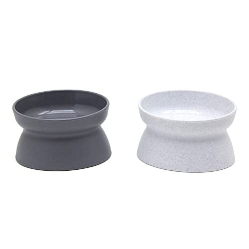Best Bowl for Cat Food