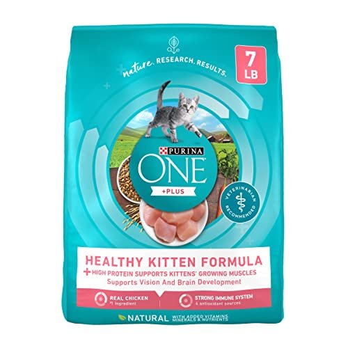 Best Cat Food Brands for Kittens