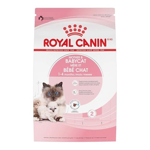 Best Cat Food for Malabsorption