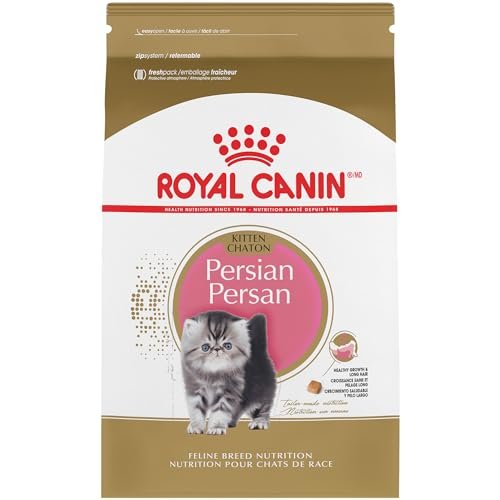 Best Cat Food for Persian Kittens