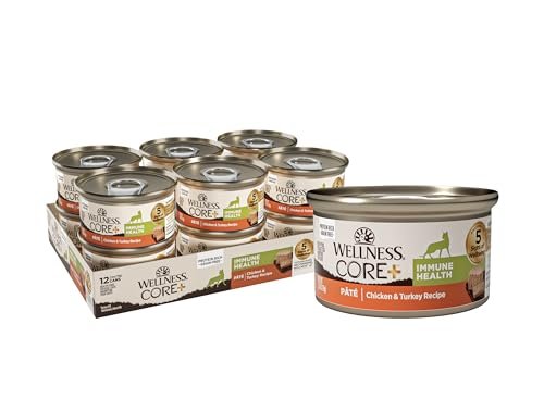 Best Cat Food for Respiratory Issues