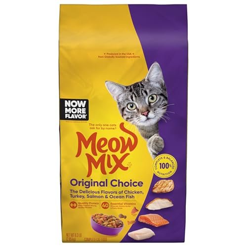 Best Cat Food for Stray Cats