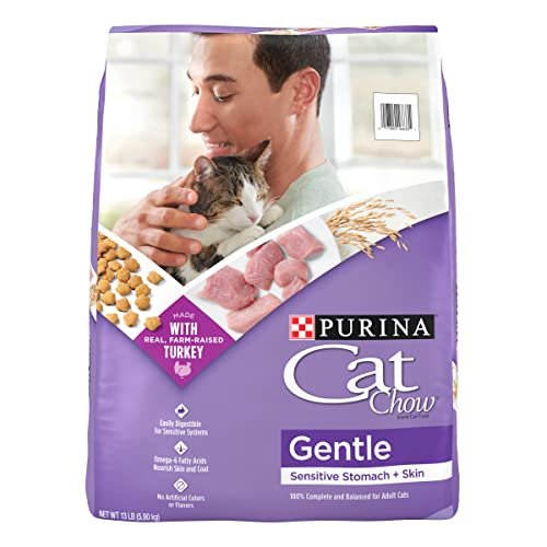 Best Cat Food for Throwing Up