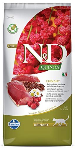 Best Cat Food for Urinary Issues