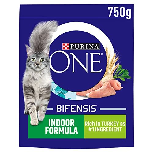 Best Cat Foods for Indoor Cats
