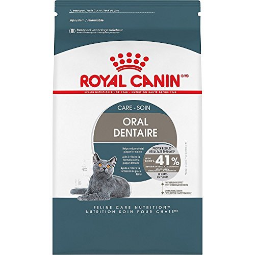 Best Dry Cat Food for Cats With Missing Teeth