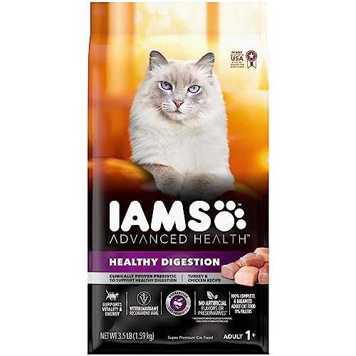 Best Dry Food for Cats That Throw Up
