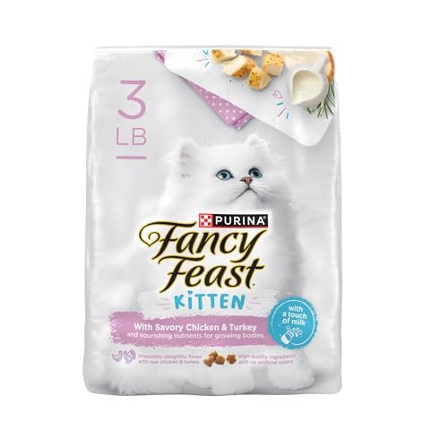 Best Dry Food for Sphynx Cats