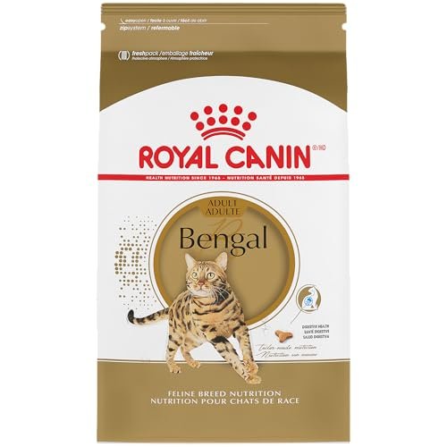Best Food for Bengal Cats