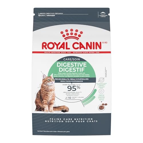 Best Food for Cats That Regurgitate