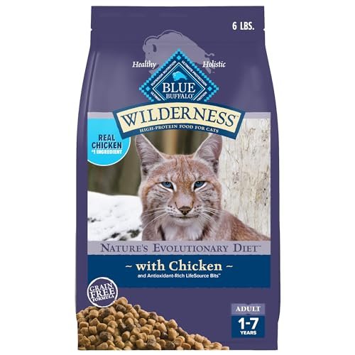 Best Food for Cats to Eat