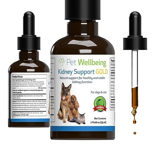 Best Food for Cats With Kidney Failure