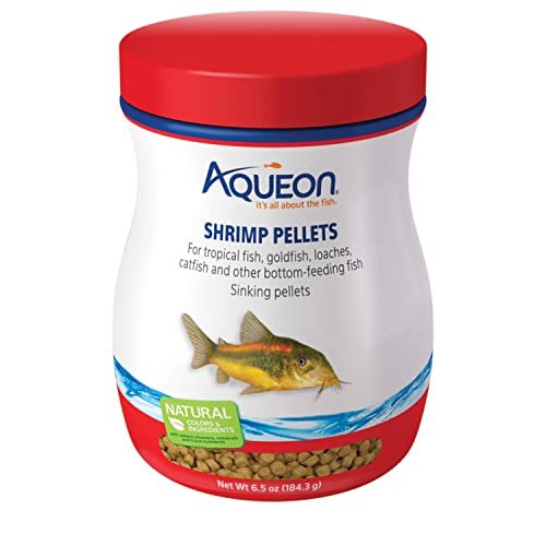 Best Food for Cory Cats