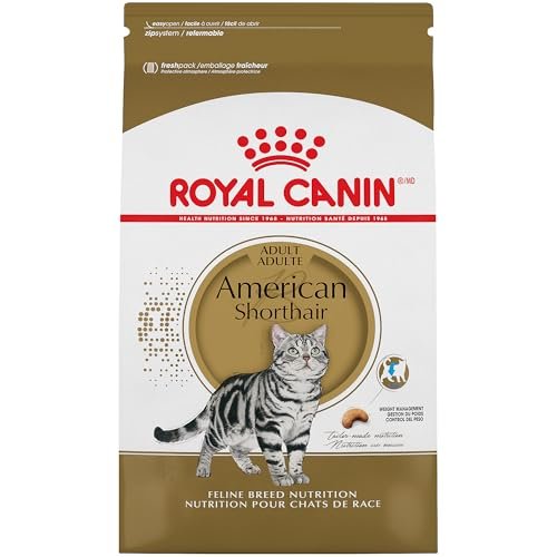 Best Food for Domestic Shorthair Cats