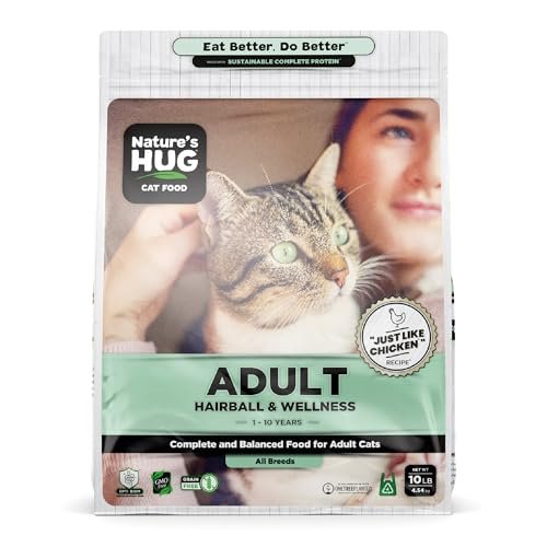 Best Food for Indoor Cat