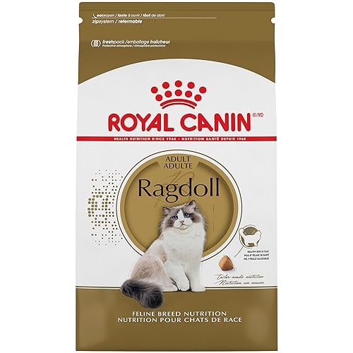 Best Food for Ragdoll Cats