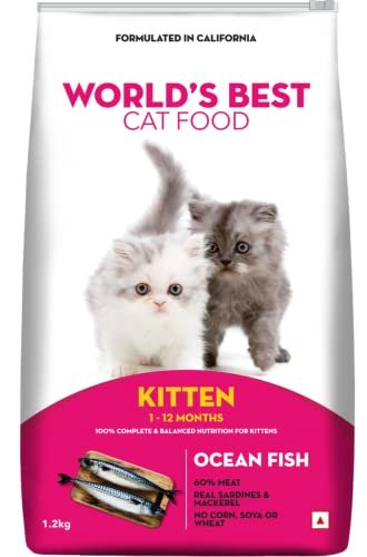 Best Food for Siamese Cats
