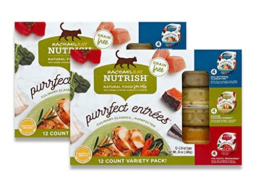 Best Fresh Food for Cats