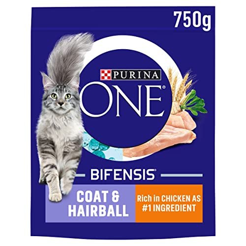 Best Hairball Food for Cats