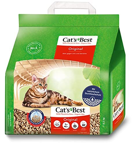 Best Human Food for Cats