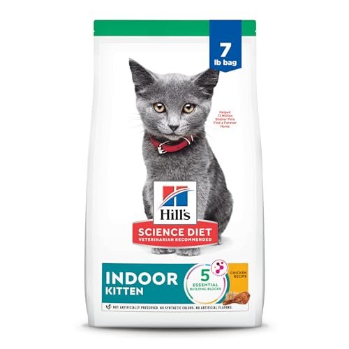 Best Kitten Food for Indoor Cats