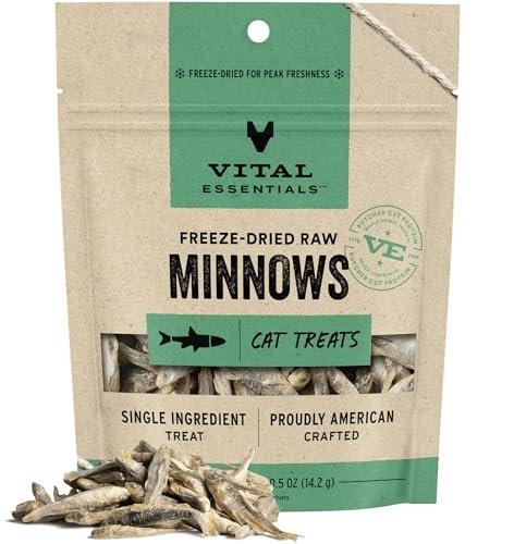 Best Raw Food Diet for Cats