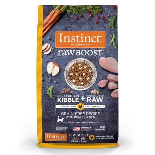 Best Raw Food for Cats