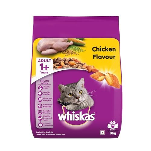 Best Soft Cat Food for Senior Cats