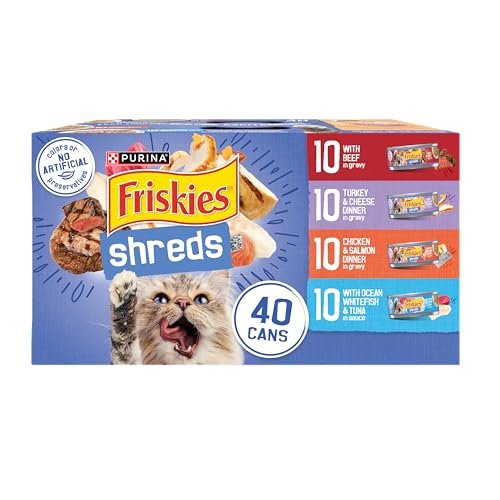 Best Soft Food for Cats
