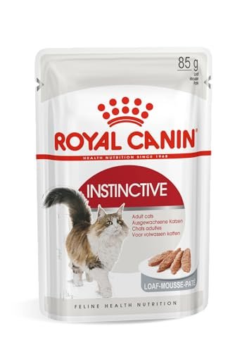 Best Wet Cat Food for Cats With Sensitive Stomachs