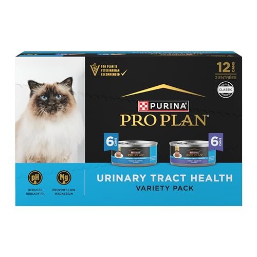 Best Wet Cat Food for Kidney Problems