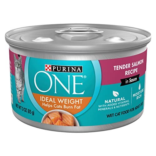 Best Wet Food for Cats to Lose Weight