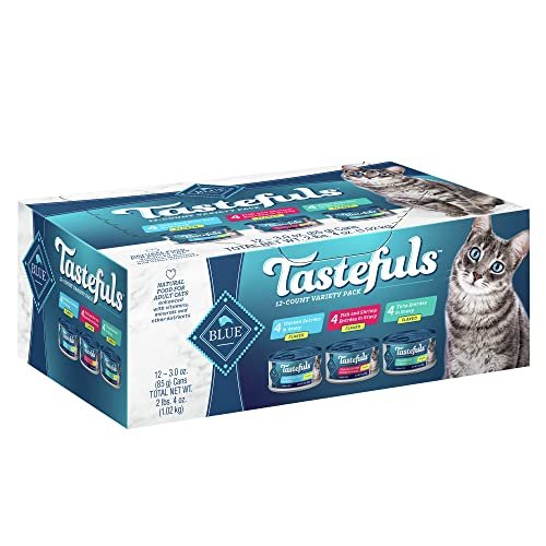 Best Wet Food for Finicky Cats