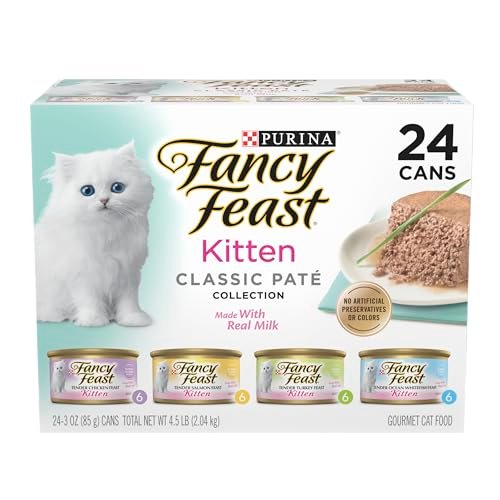 Best Wet Kitten Food for Indoor Cats