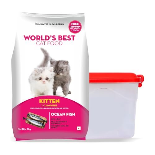 What is Best Cat Food for Indoor Cats