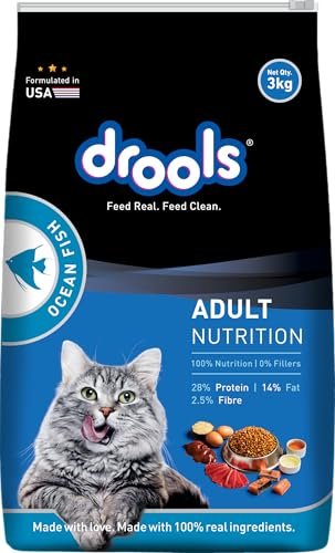 What is the Best Cat Food for an Indoor Cat