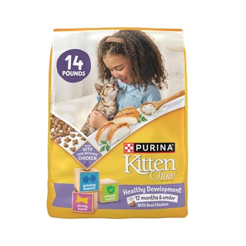 What is the Best Cat Food for Kittens